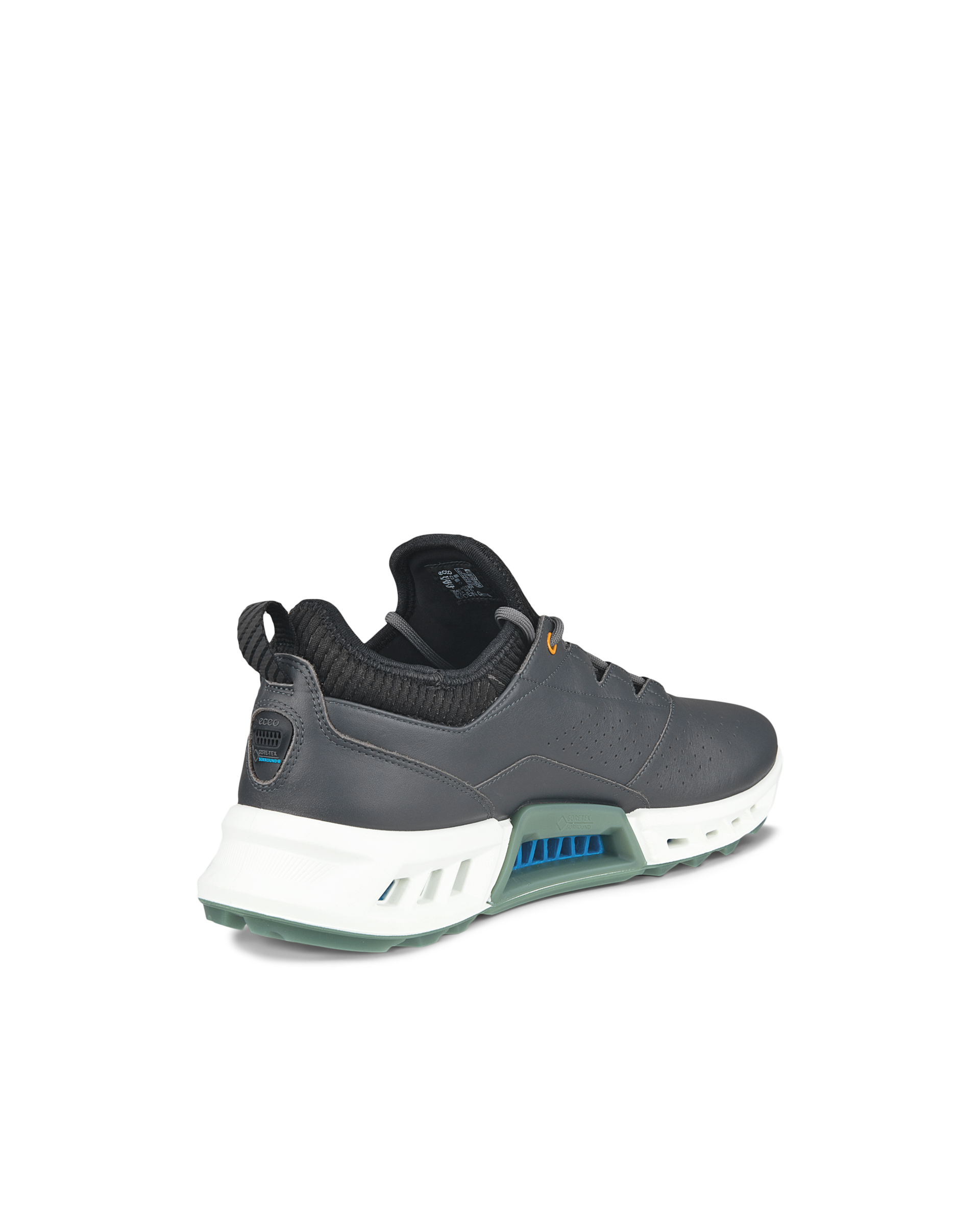 ECCO Golf BIOM C4 Men メンズ レザーGore-Texゴルフシューズ | グレー