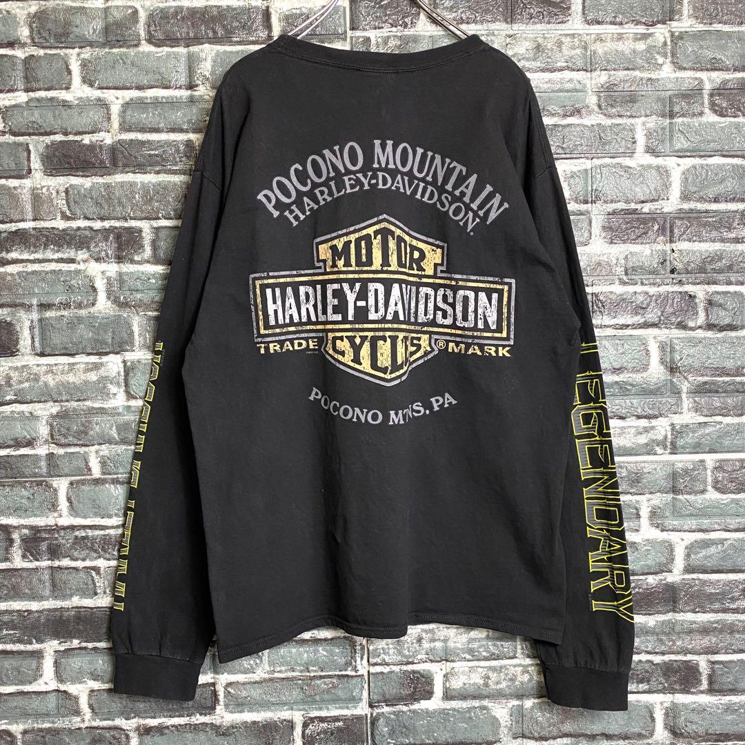 ハーレーダビッドソン☆ロンT 古着 両面プリント サイドデザイン